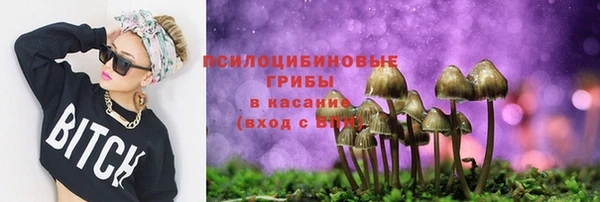 бутират Инта