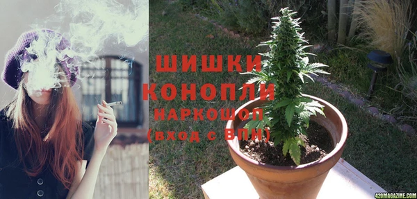 кокс Инсар