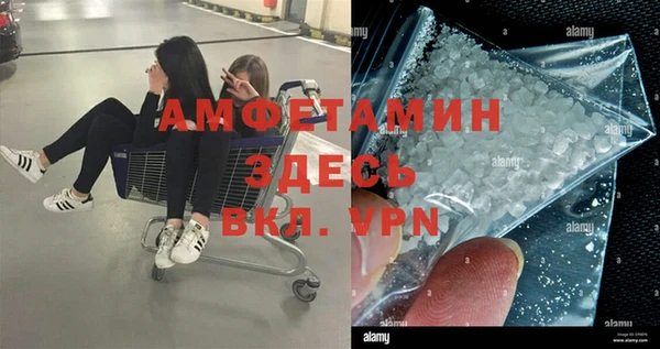 кокс Инсар