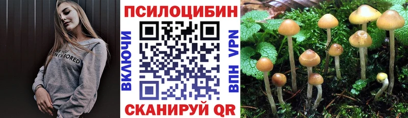 Купить  Краснослободск  Галлюциногенные грибы GOLDEN TEACHER 